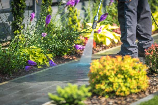 Best Sidewalk and Walkway Cleaning  in Tracy, CA